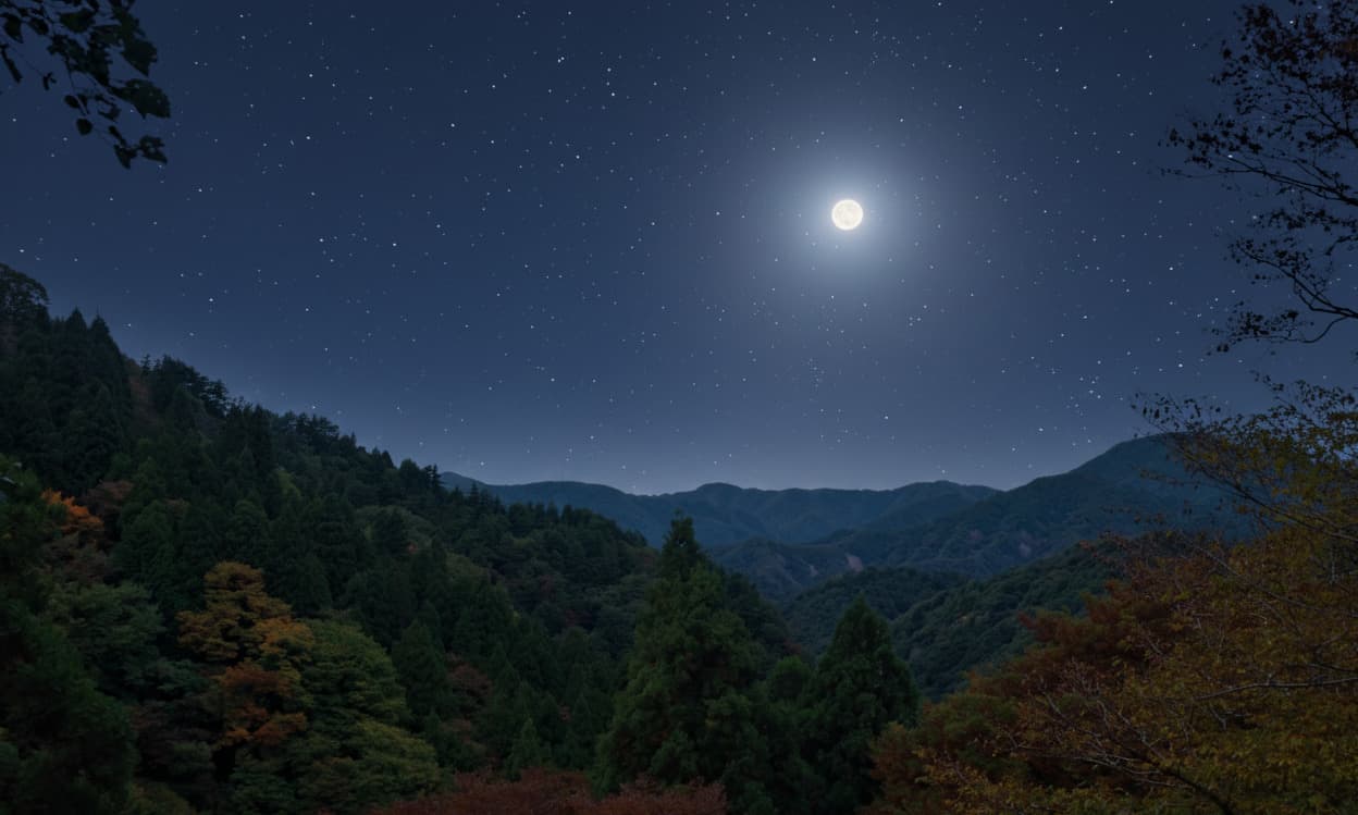 Uji region tea mountains in southern Kyoto